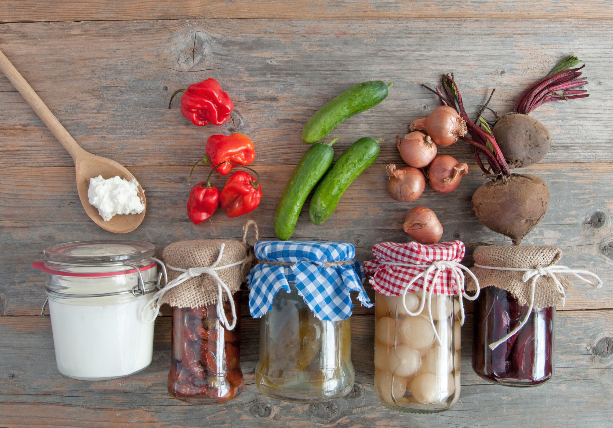 Naturally fermented foods